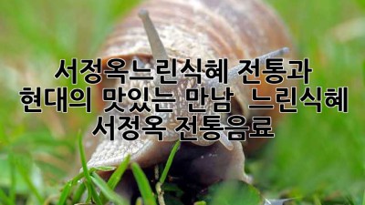 서정옥느린식혜: 전통과 현대의 맛있는 만남 😋 #느린식혜 #서정옥 #전통음료