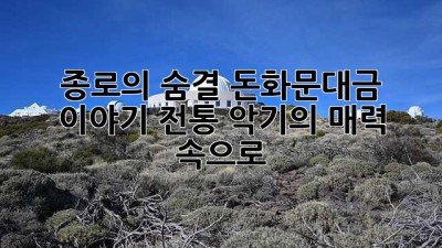 종로의 숨결, 돈화문대금 이야기🎶 전통 악기의 매력 속으로!